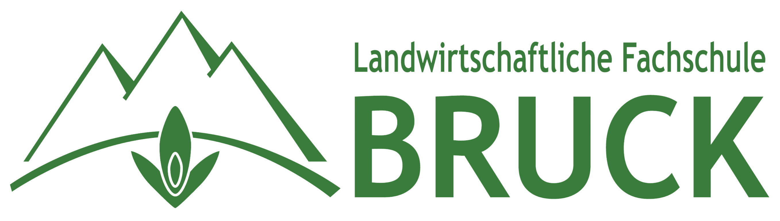 Logo LFS Bruck