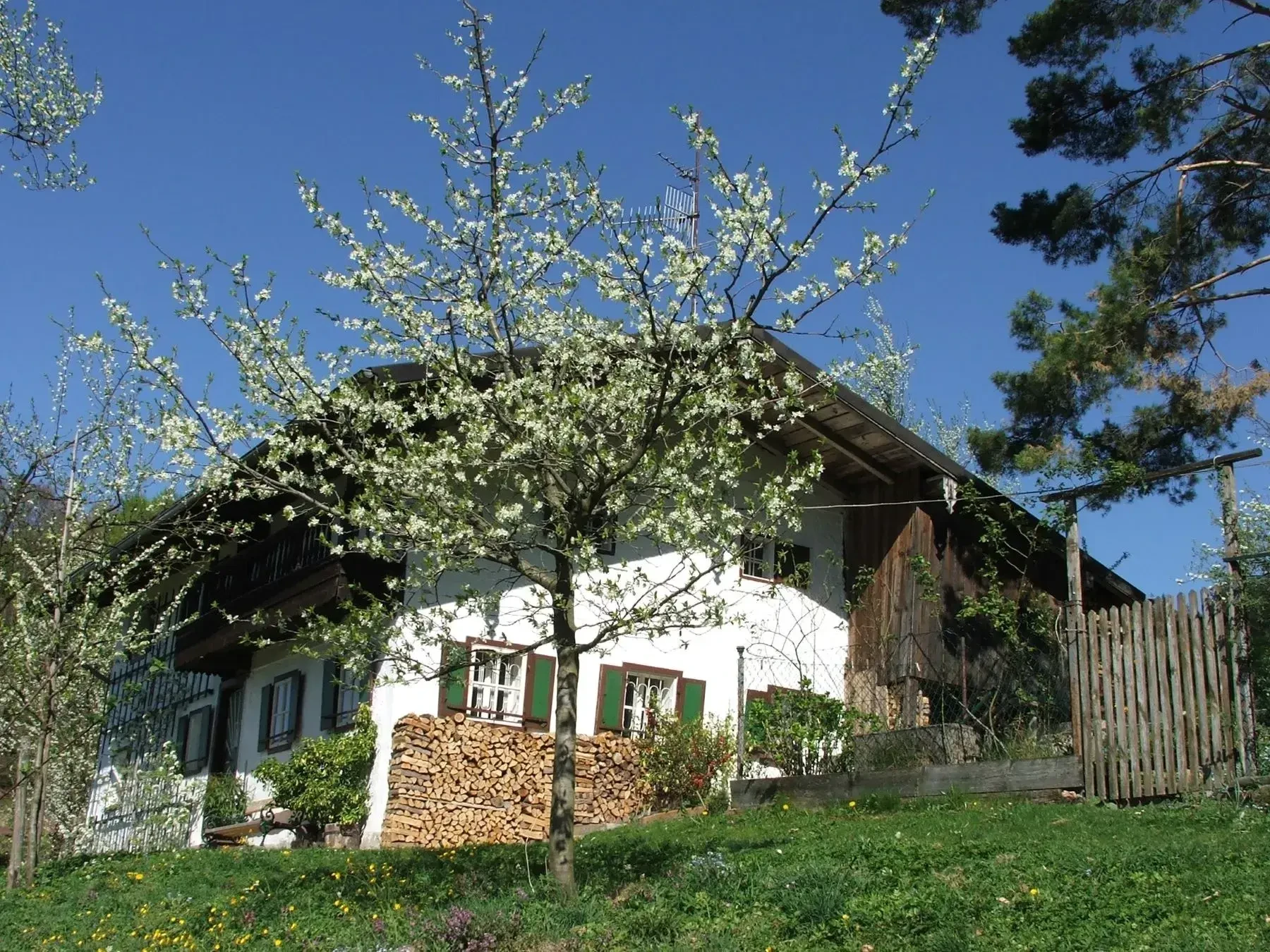 Teufelsgütl Haus im Obstgarten in Nussdorf von Familie Eder