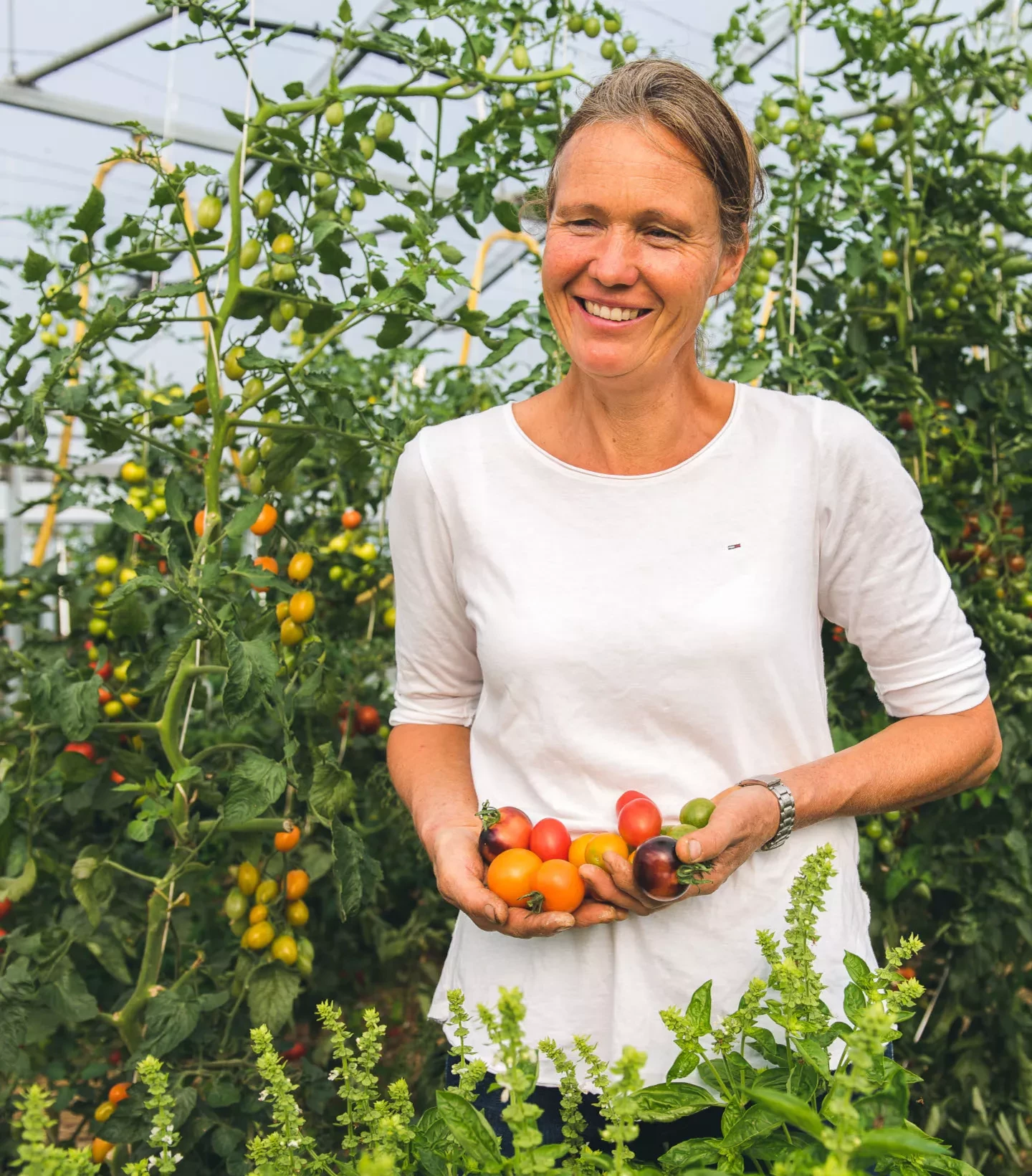 Rosi Klingerbauer mit frisch geernteten Tomaten